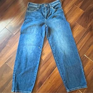 Anthropologie Pilcro Jeans, Straight Leg, Mid-Rise Boyfriend Jean, Sz. 27.